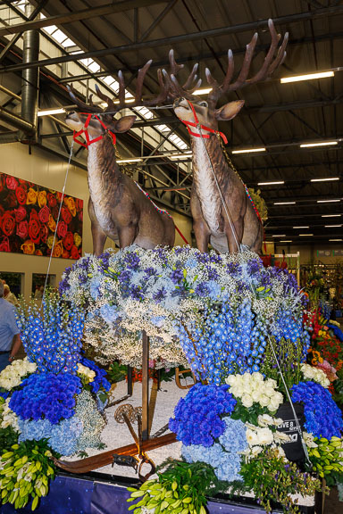 250808 corsopresentatie Flora