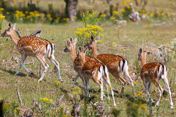 20190717 wandelen met JW