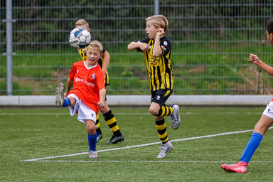 SMO_3087.jpg