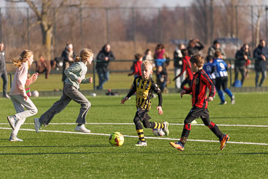 260124 Ben - ASC JO8-2 - RBB JO8-3